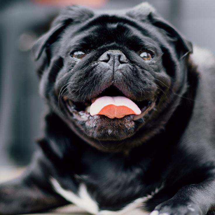 Prithvi Khandelwal, Client Relations Director, discussing corporate gifting strategy with business clients